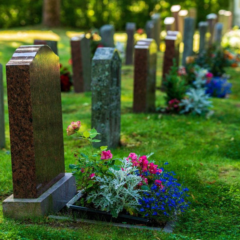 a-double-row-of-tombstones-decorated-with-colorful-flowers