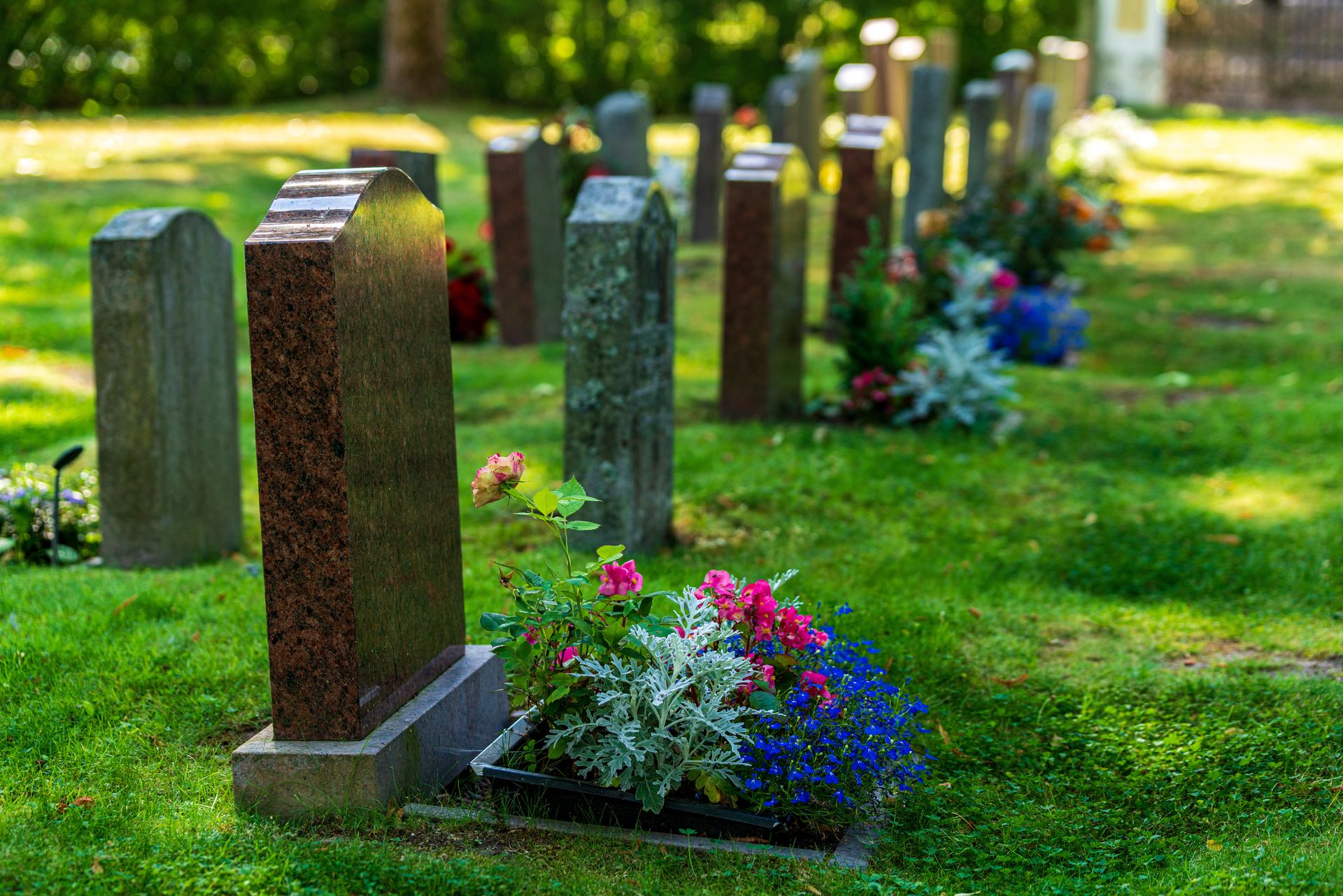 a-double-row-of-tombstones-decorated-with-colorful-flowers